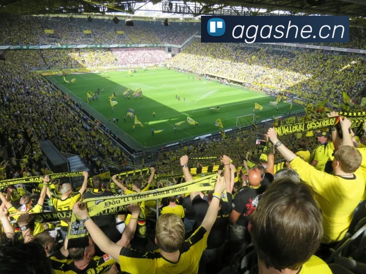 APP 体育赛事宣传图